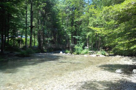 Sentier Art et Nature