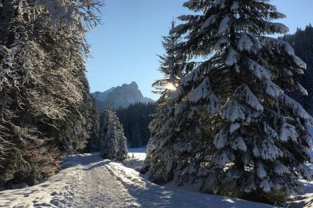 Itinéraire raquettes 