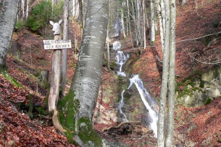The deers' waterfall