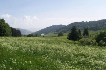 Trail run 5 - Les Moises loop