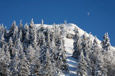 Randonnée raquettes "Le Mont Forchat" depuis Habère-Poche