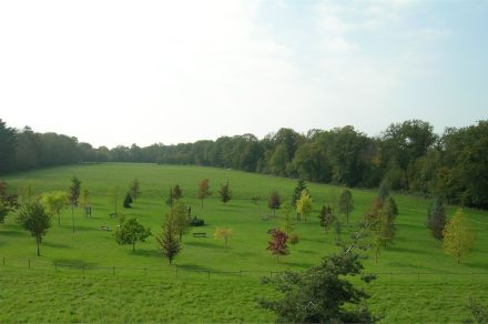 Arboretum von Ripaille