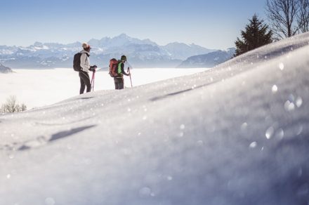 Snowshoes trail - ''La Belle Vue''