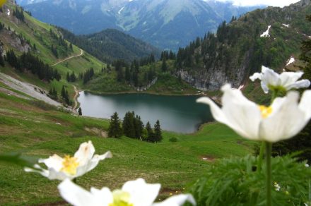 Randonnée pédestre : Col et lac d'Arvouin