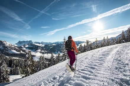 Snowshoe trail - Balcon de Châtel