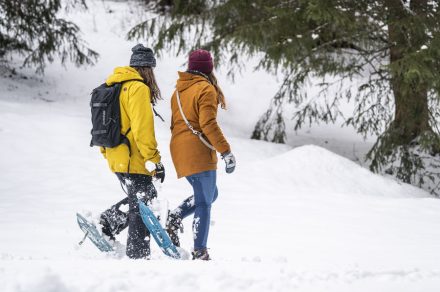Snowshoe trail - Bords de Dranse
