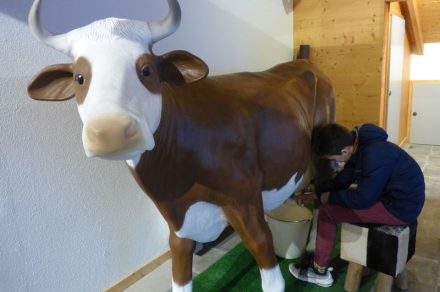 De l’alpage à la table