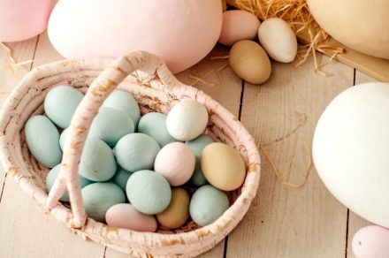 Chasse aux oeufs à la ferme du Haut-Chablais