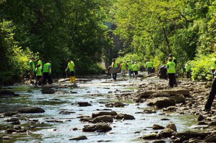 Nettoyage de printemps