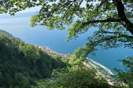 Itinéraire pédestre : Boucle des Bacounis