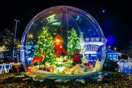 Les Féériques - Les Bulles Enchantées