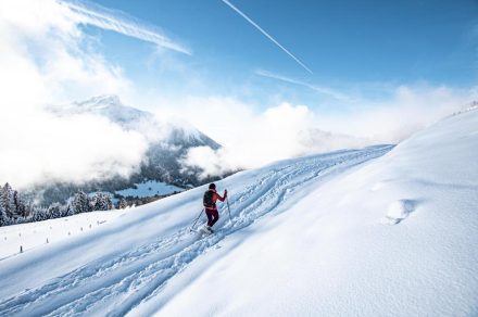 Snowshoe trail - Les Québales