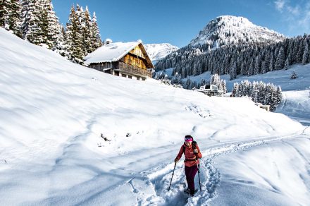 Snowshoe trail - Petit Châtel circuit