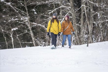 Snowshoe trail - Sur le Bord