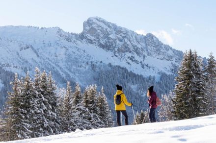 Gold Mines Lake walk - Snowshoe trail