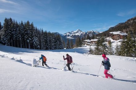 Around Drôline by snowshoe