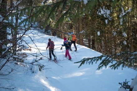 Snowshoeing around the Drouzin forest