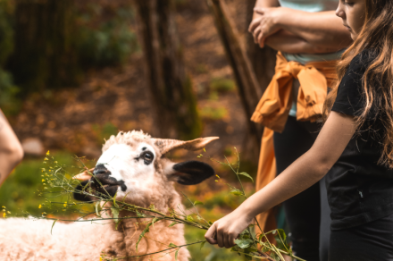 Journée spéciale 9e anniversaire de la Ferme du Haut-Chablais