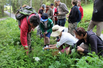 Hiking outing in the Abondance valley