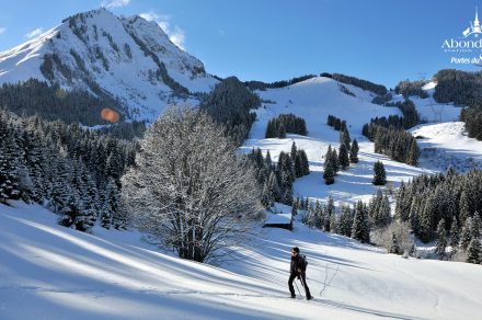Snowshoeing itinerary : Versant forestier