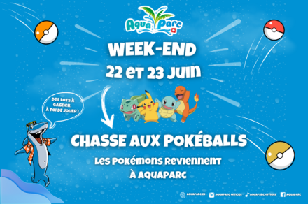 Chasse aux pokéballs