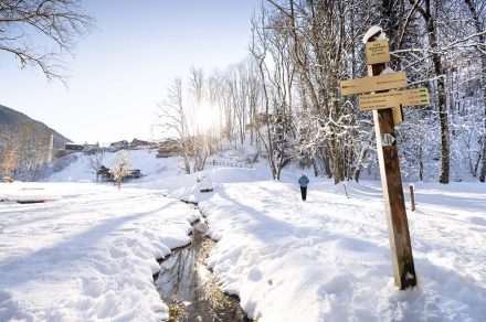 Promenade dans le parc des Dérêches en Hiver