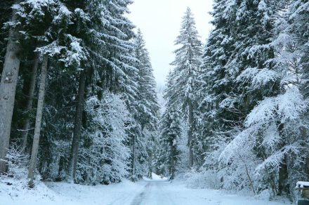 From l'Erigné to Chardonnière