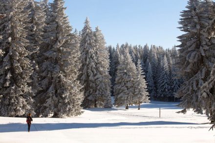 Col des Moises-Col du Feu Nordic Trek