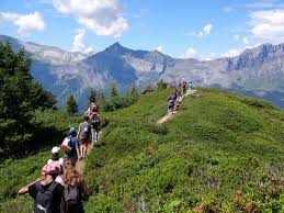 Sortie scolaire en refuge
