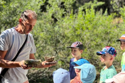 Family activities at the Salève cable car
