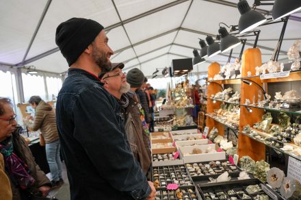 Bourse aux minéraux