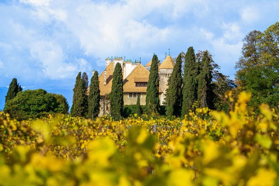 Exposition - Dans l'oeil du photographe