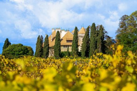 Exposition - Dans l'oeil du photographe