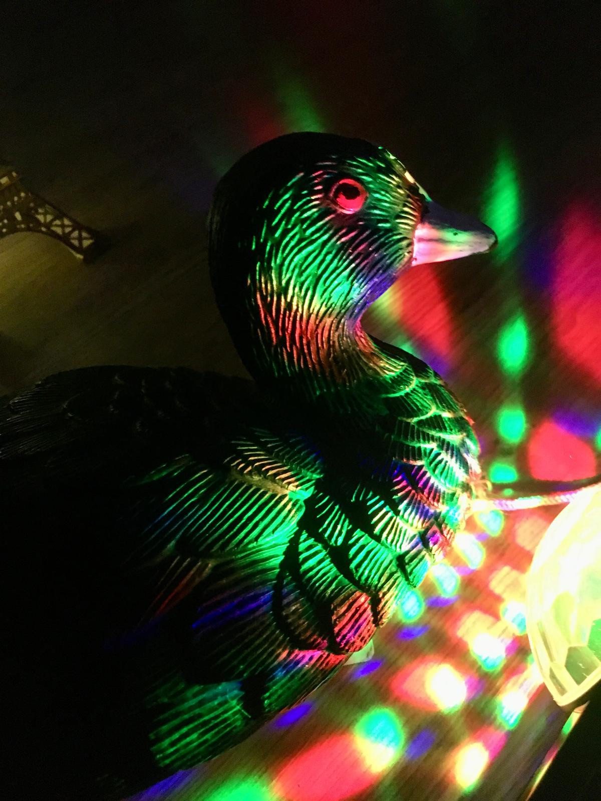 Concert - La Foulque !