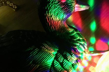 Concert - La Foulque !