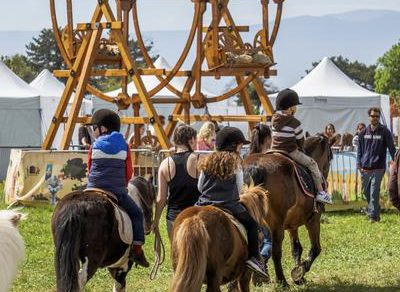 Folie(s) Végétales 2026