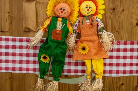 Folie(s) Végétales 2026 - Spectacle les Z'abeilles