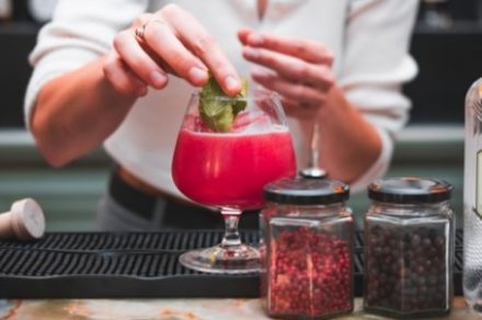 Folie(s) Végétales 2026 - Atelier mixologie végétale