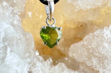 Folie(s) Végétales 2026 - Atelier taillage de pierres