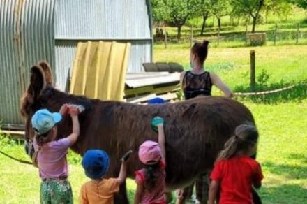 Folie(s) Végétales 2026 - Ferme pédagogique