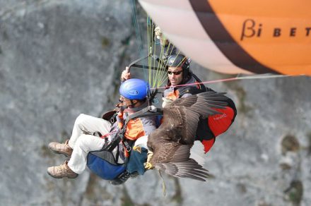 Portes du Soleil paragliding school