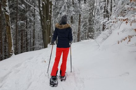 Snowshoeing itinerary: circuit de l'Envers