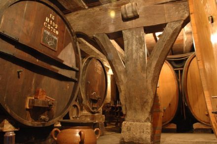 Cave médiévale du Château La Tour de Marignan